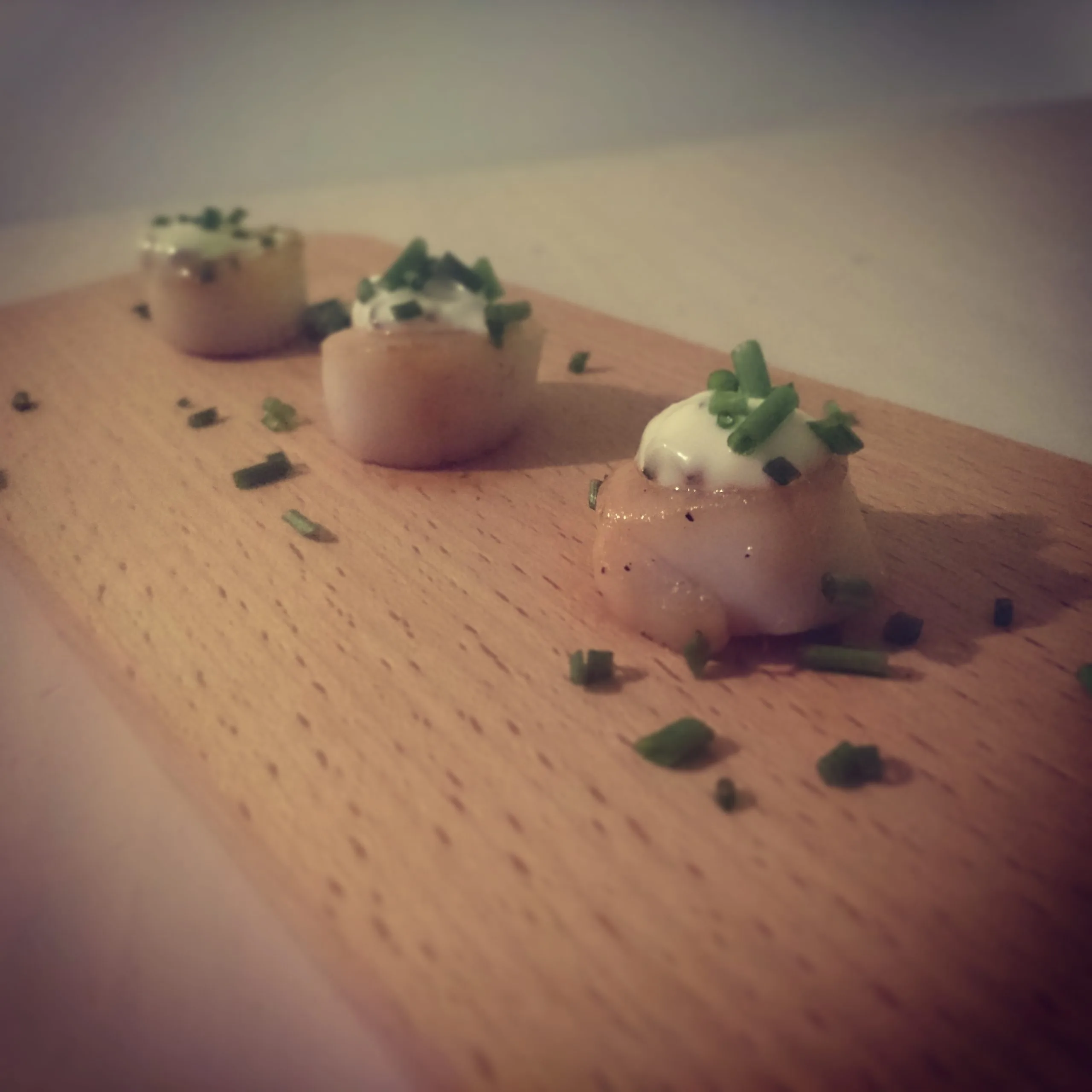 Plancha Coquilles